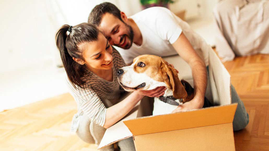 Having a successful Move with the Pets! Secure Moving Ltd.