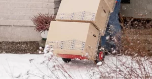 moving during the winter