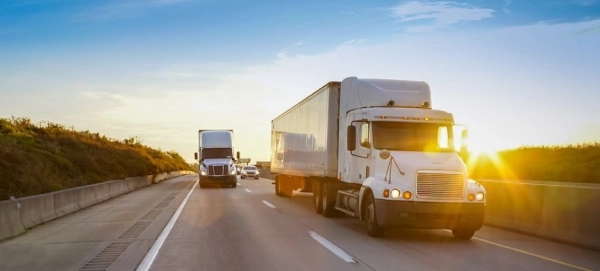 Choosing the Right Long-Distance Moving Options