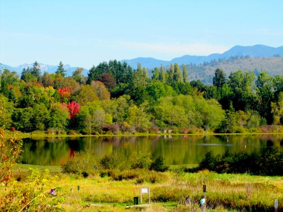 things to do in burnaby