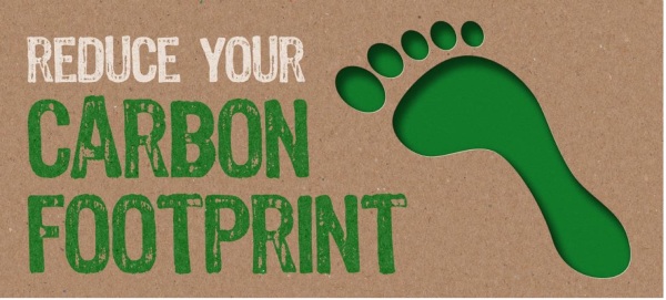 how to reduce your carbon footprint