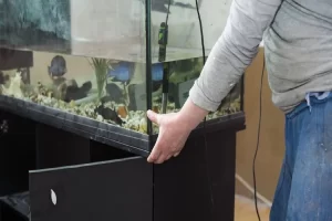 how to move an aquarium