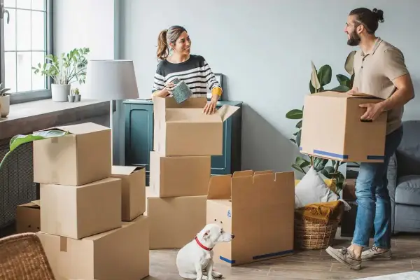 Collecting and moving to a new house