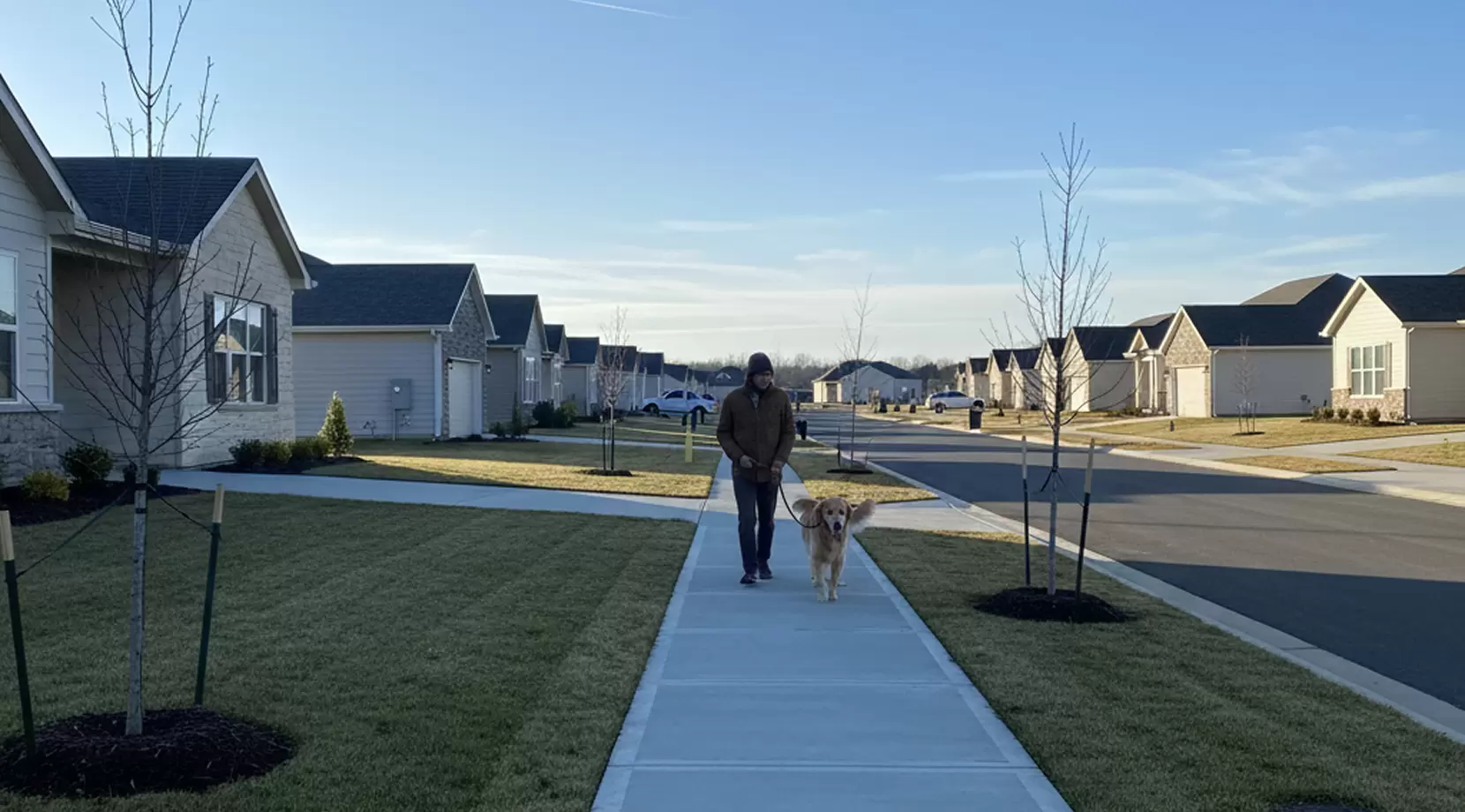 Neighborhood walk before moving day — how to move a dog across country tip: keep daily walks to reduce dog moving stress.