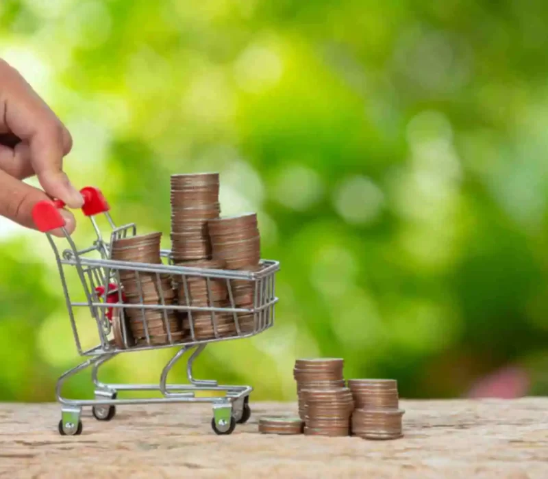 jpeg-optimizer_world-habitat-day-close-up-picture-hand-pushing-little-cart-which-full-coins Affordable local moving